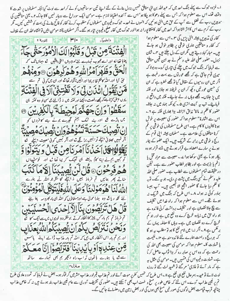 Page-310.jpg