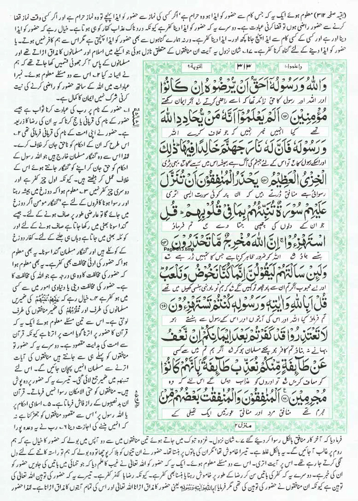 Page-313.jpg