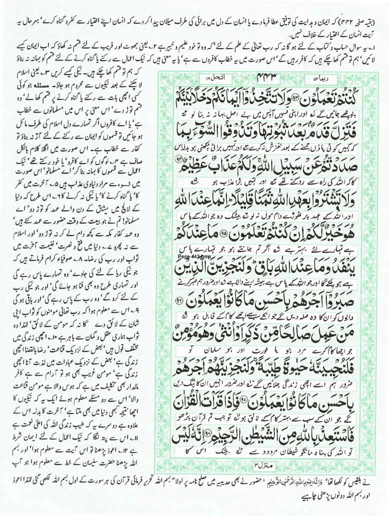Page-443.jpg