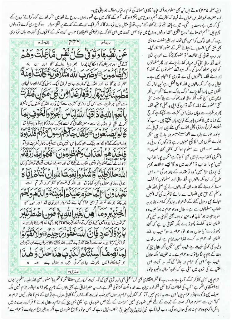 Page-446.jpg