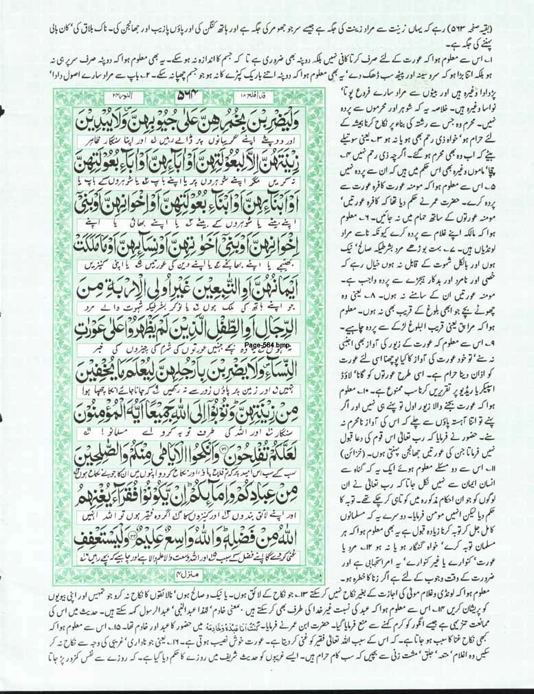 Page-564.jpg