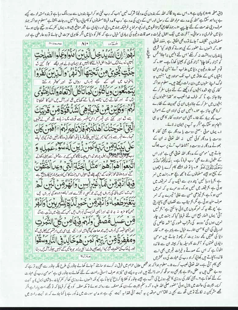 Page-810.jpg