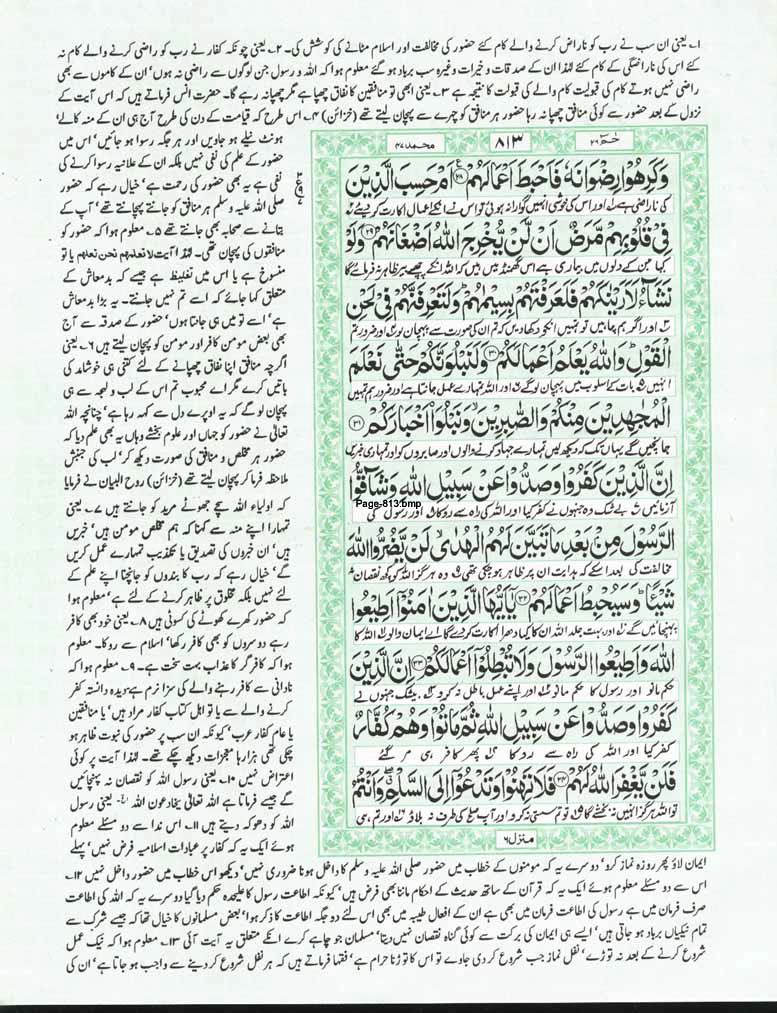 Page-813.jpg