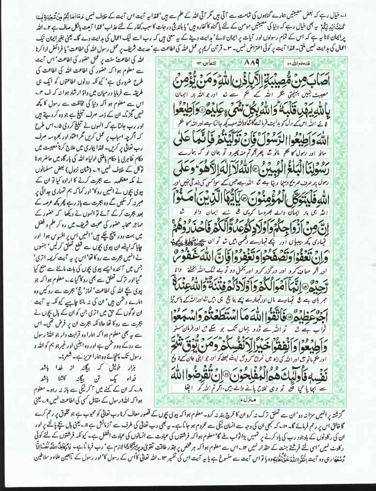 Page-889.jpg