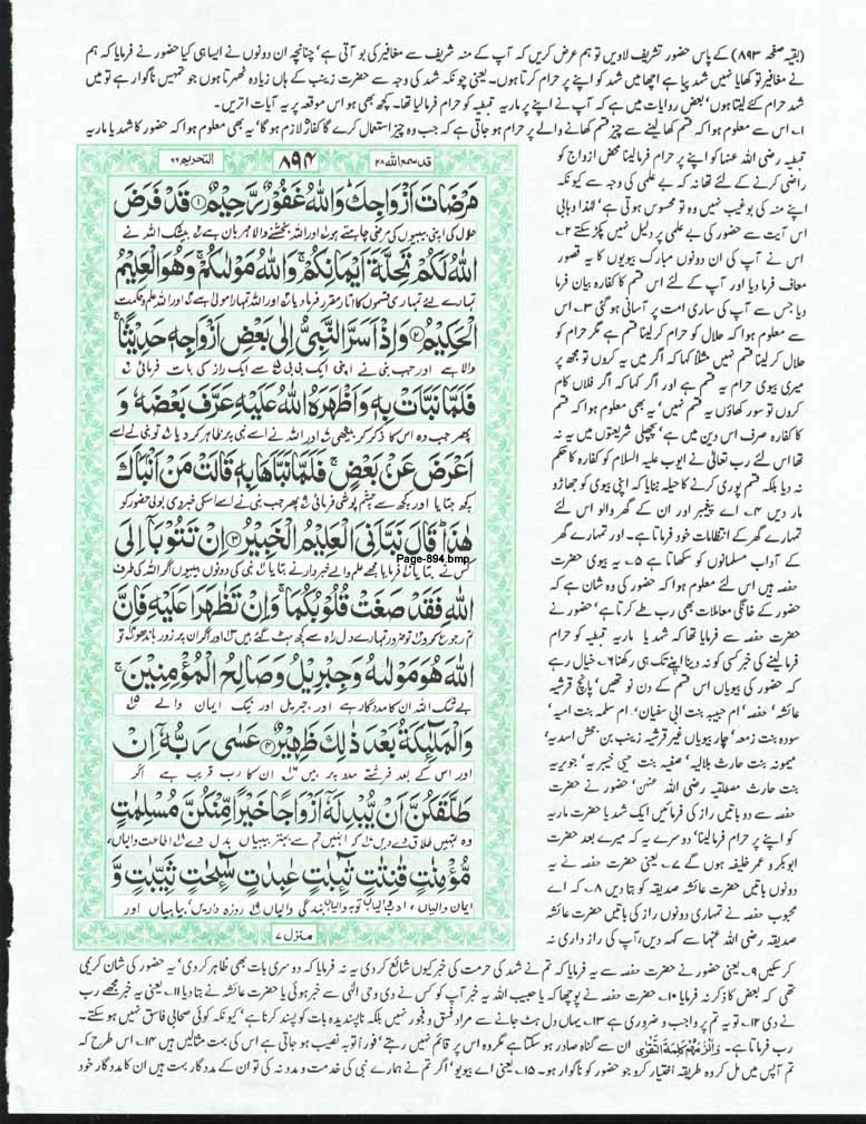 Page-894.jpg