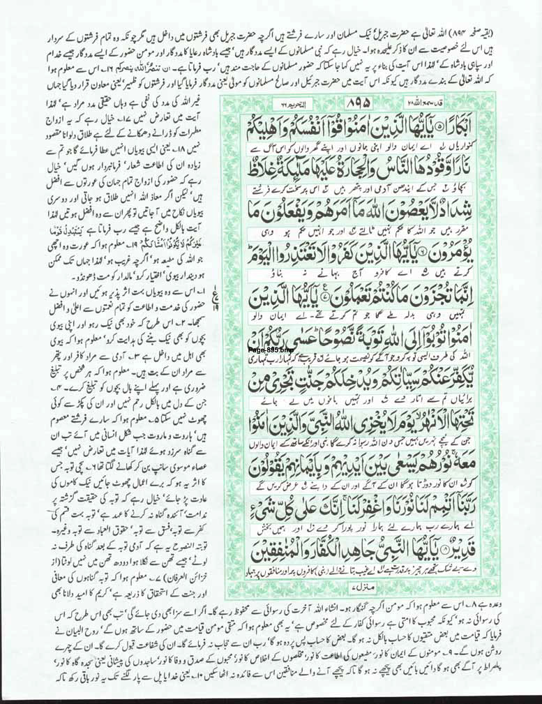 Page-895.jpg